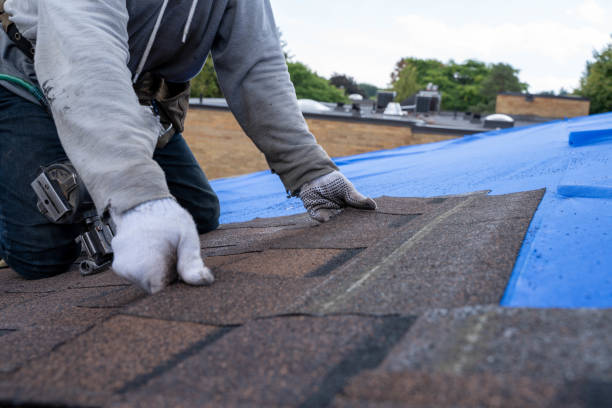 Best Flat Roof Repair Services  in Pine Bluffs, WY