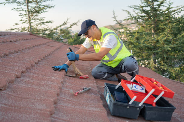 Best Storm Damage Roof Repair  in Pine Bluffs, WY