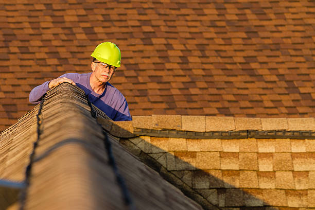 Best Gutter Installation and Roofing  in Pine Bluffs, WY